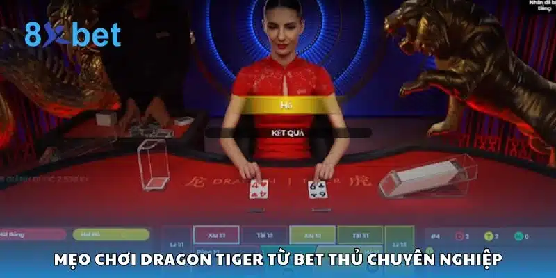 Mẹo chơi Dragon Tiger từ bet thủ chuyên nghiệp